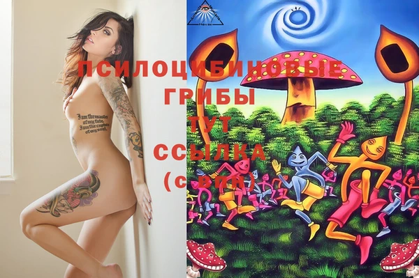 марки lsd Алексеевка