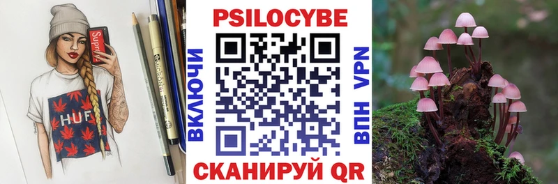 Псилоцибиновые грибы Cubensis  как найти закладки  Собинка 